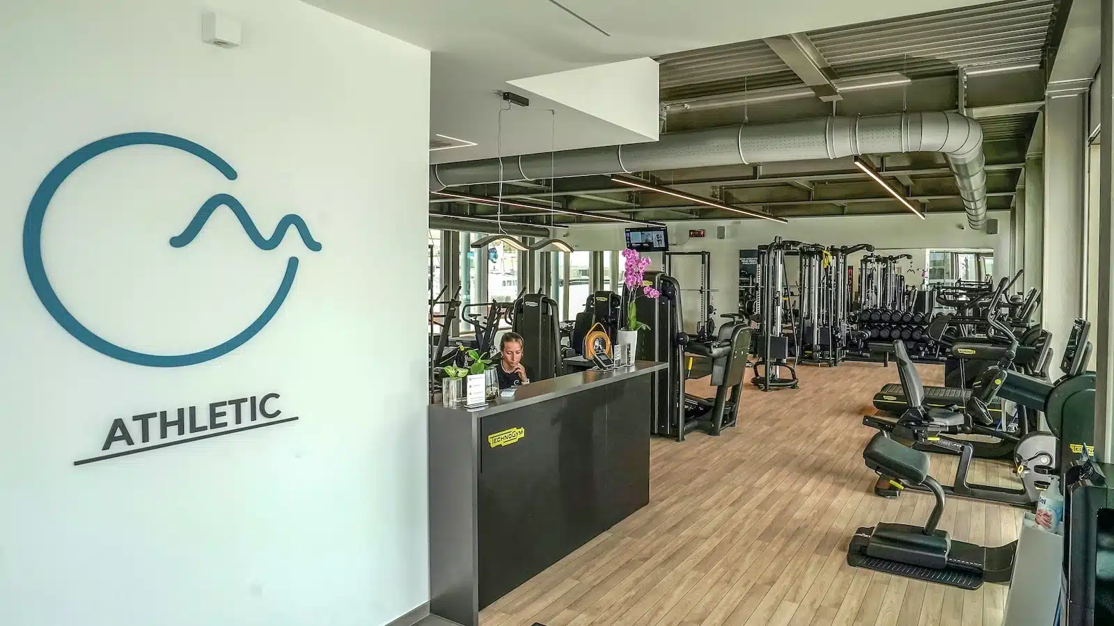 Palestra