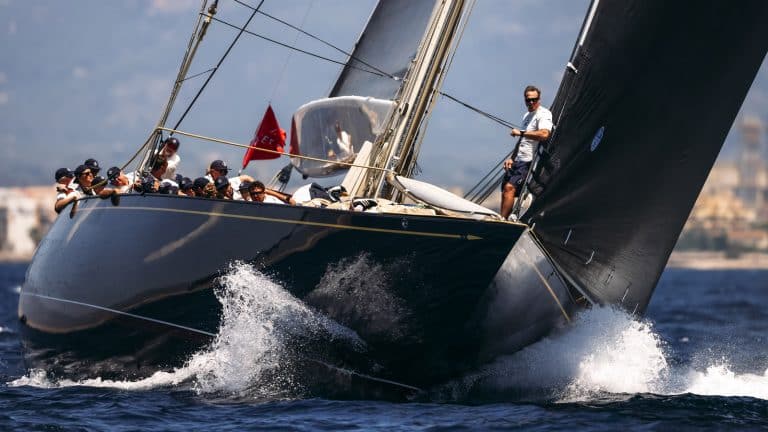 superyacht cup palm